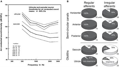 Animal Models of Vestibular Evoked Myogenic Potentials: The Past, Present, and Future